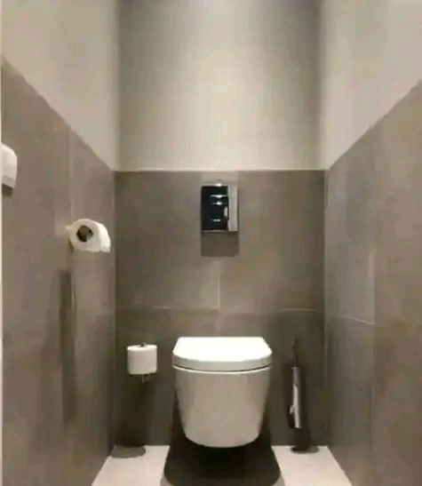 Bathroom wall hung toilet